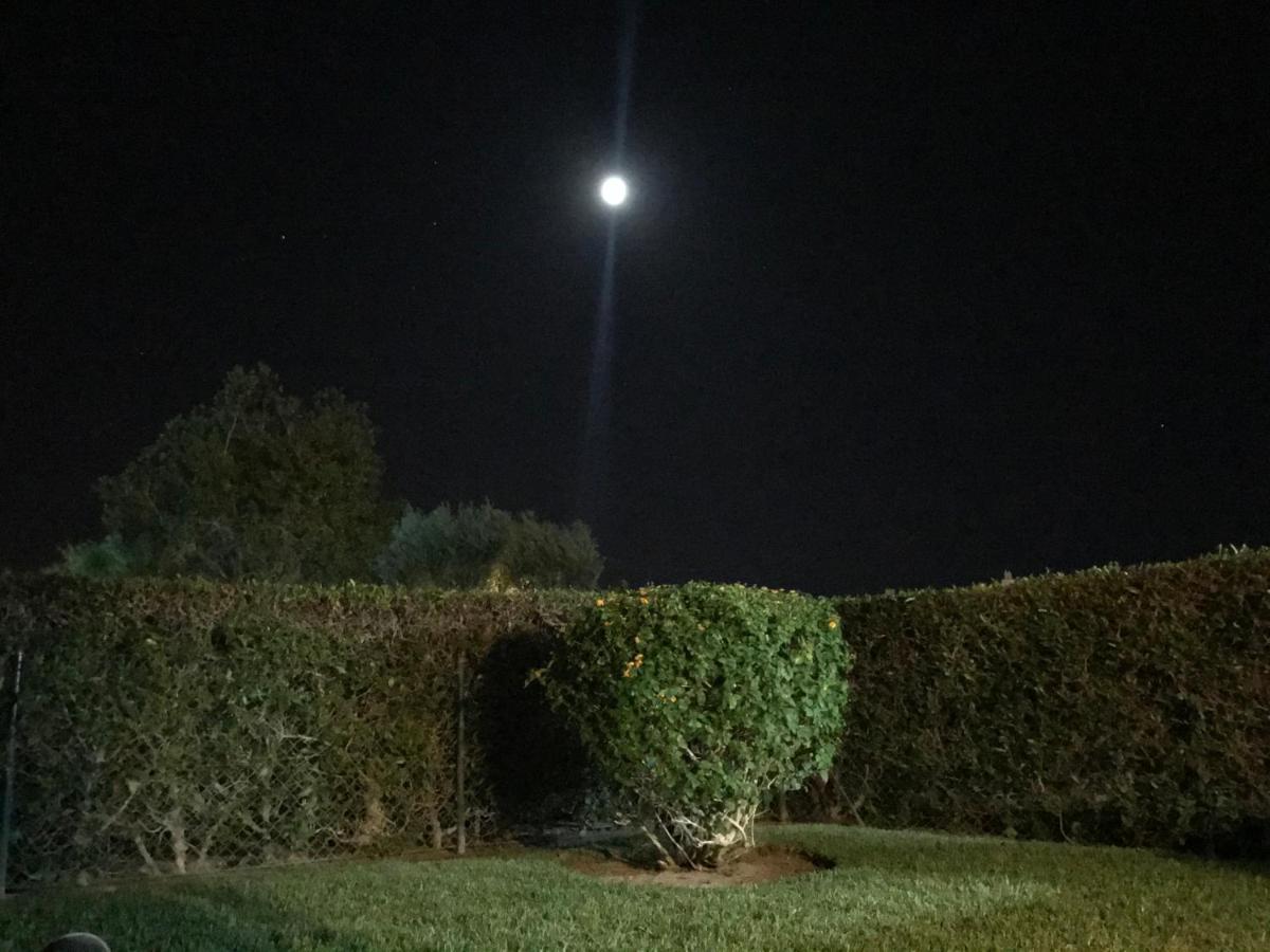Solar Monteverde Vilamoura Dış mekan fotoğraf